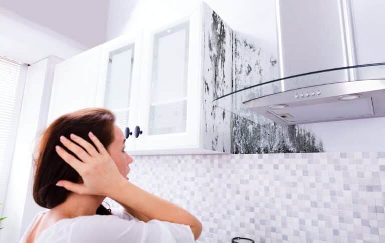 muffa ristrutturazione